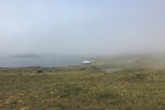 85