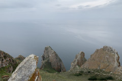 91